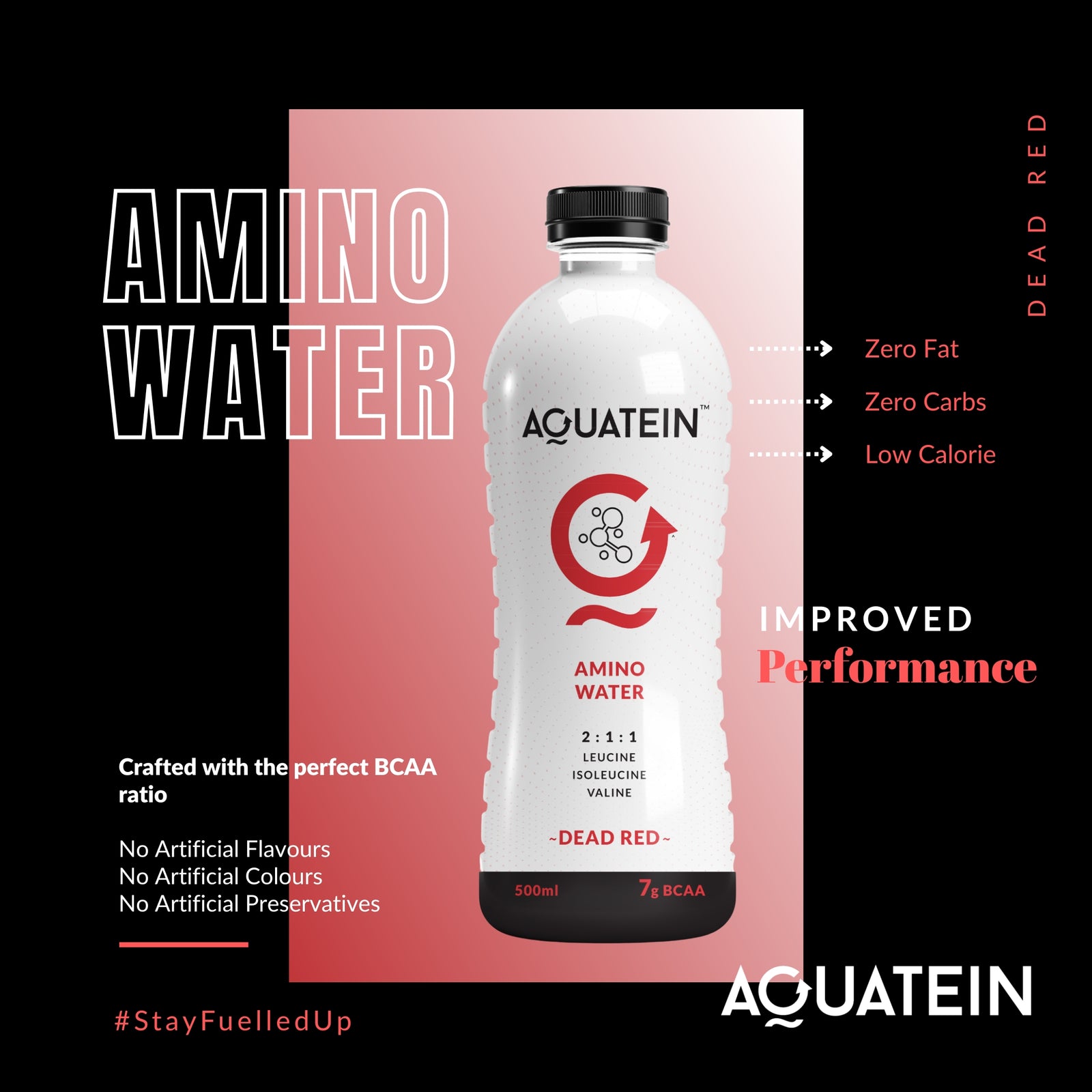 Aquatein BCAA Aminos AQUATEIN Aquatein BCAA Aminos AQUATEIN